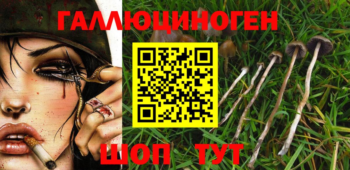 Псилоцибиновые грибы ЛСД Долгопрудный