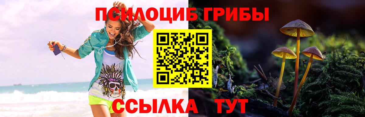 Галлюциногенные грибы Psilocybe  Вход с VPN  Галлюциногенные грибы мицелий  Долгопрудный 
